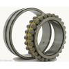 NN3020MK Cylindrical Roller Bearing 100x150x37 Tapered Bore Bearings #8 small image