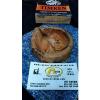 Timken JM-205110 Cup for Tapered Roller Bearing #1 small image