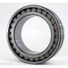 NN3020MK Cylindrical Roller Bearing 100x150x37 Tapered Bore Bearings #3 small image
