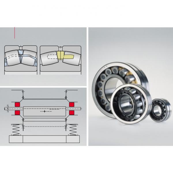  Toroidal roller bearing  VSI251055-N #1 image