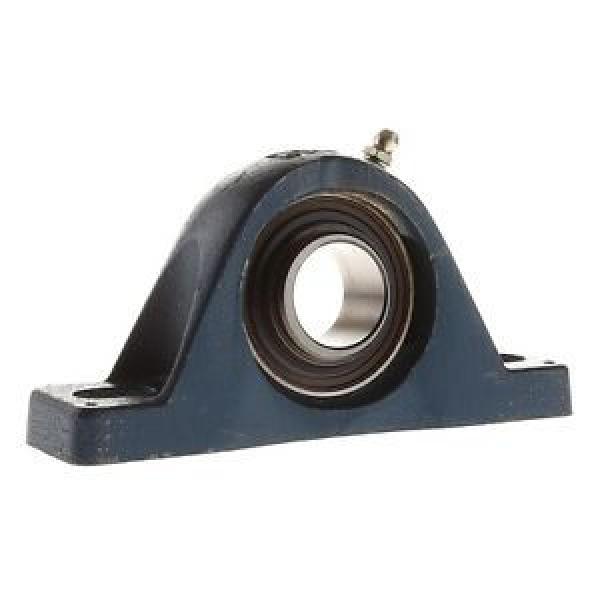 Industrial Plain Bearing SL25EC  EE428262D/428420/428421XD  RHP Housing and Bearing (assembly) #1 image